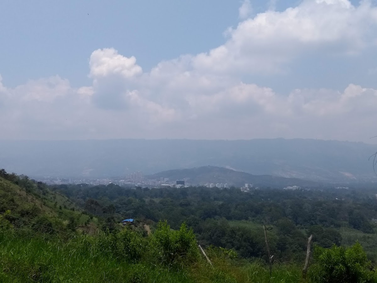 Tienda Los Manzanares-3